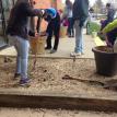 Aaco earth day this year on April 2016