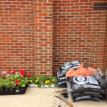 Aaco earth day this year on April 2016