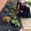 Aaco earth day this year on April 2016