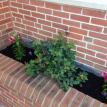 Aaco earth day this year on April 2016